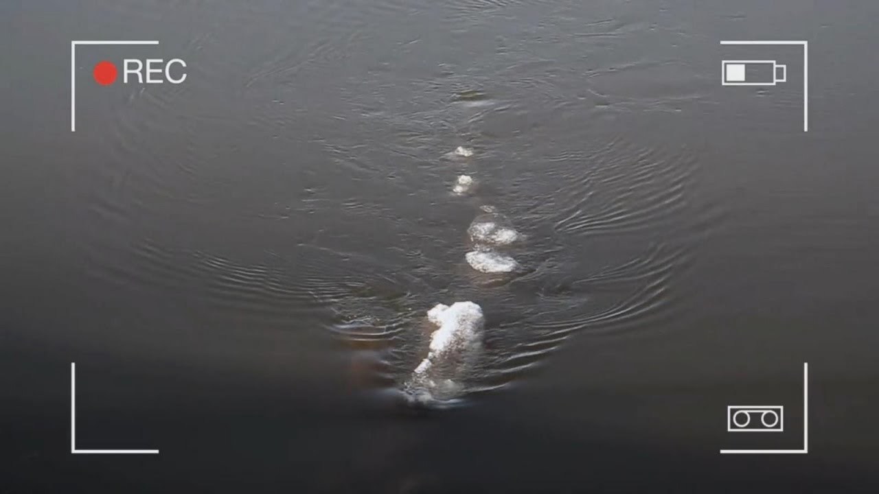 Neues Nessie-Video aufgetaucht! Jäger des Ungeheuers überzeugt: Dieses Video beweist seine Existenz!