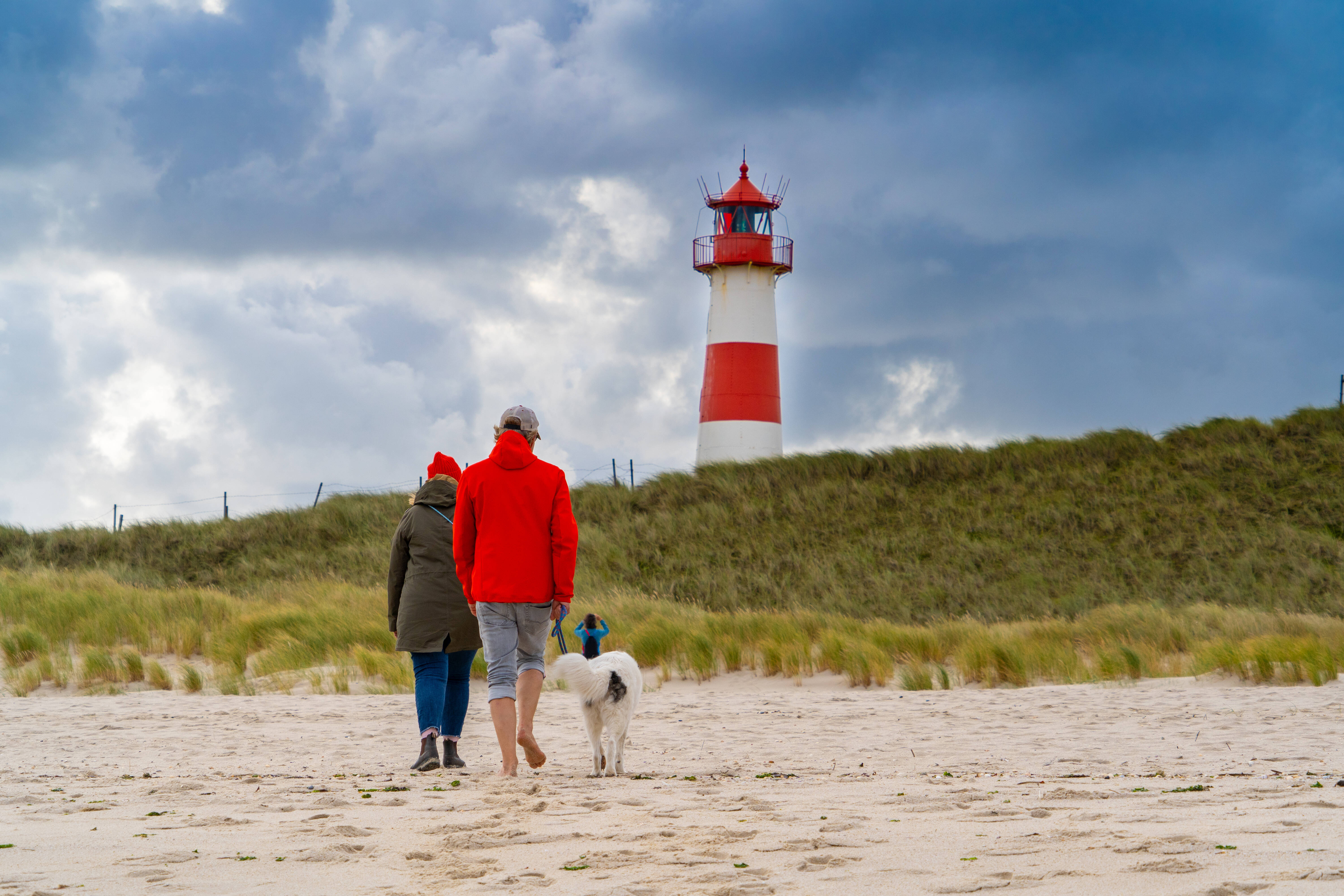 Leiche im niedersächsischen Watt entdeckt! Gruselfund auf Sandbank - Touristin im Watt ertrunken?