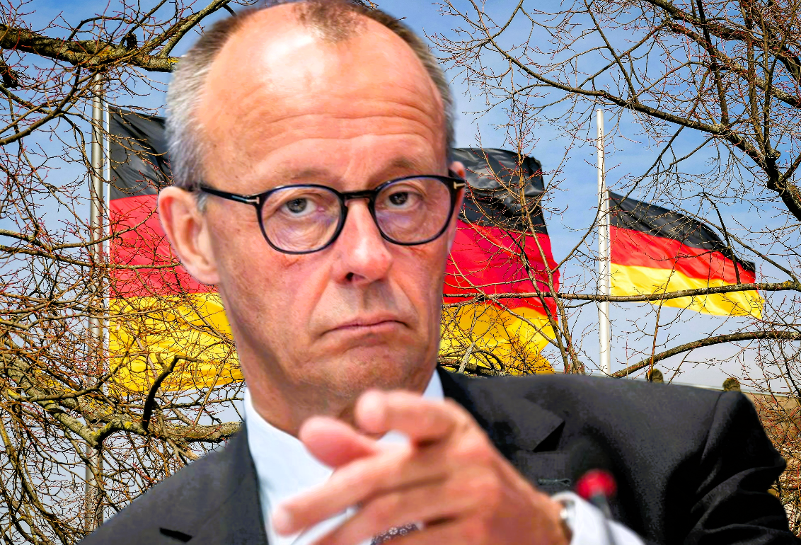 Botswana will 20.000 Elefanten nach Deutschland schicken – Merz soll zusagen!